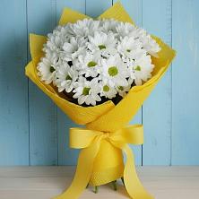 Букет цветов из:  Хризантемы в Хадыженске
