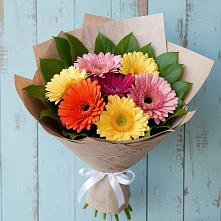 Букет цветов из:  Герберы в Хадыженске