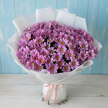 Букет цветов из:  Хризантемы в Хадыженске
