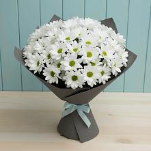 Букет цветов из:  Хризантемы в Хадыженске