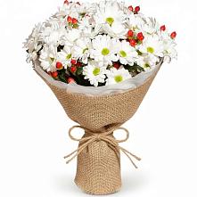 Букет цветов из:  Хризантемы #REPLACE_PRED# Хадыженске
