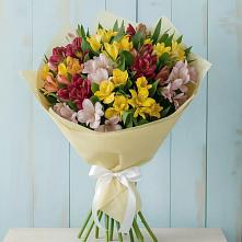 Букет цветов из:  Альстромерии в Хадыженске